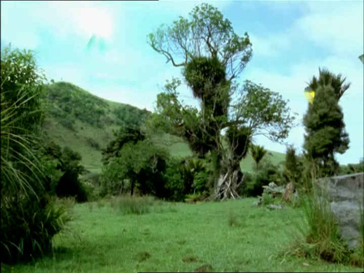 Forêt Pétrifiée