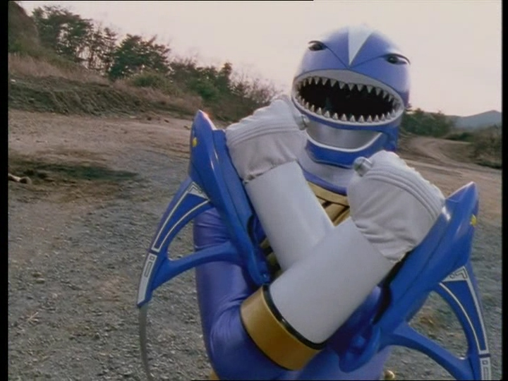 NAGEOIRES DE COMBAT DU REQUIN BLEU