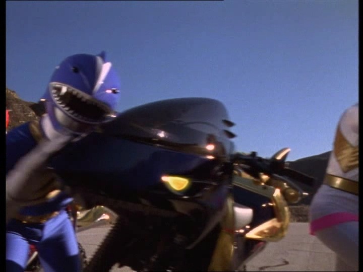 MOTO SAUVAGE REQUIN