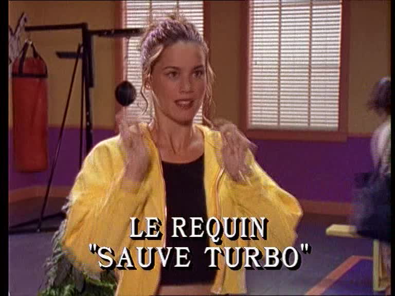 Le requin "sauve Turbo"