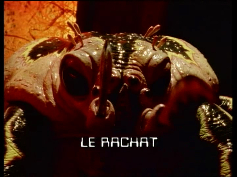 Le rachat