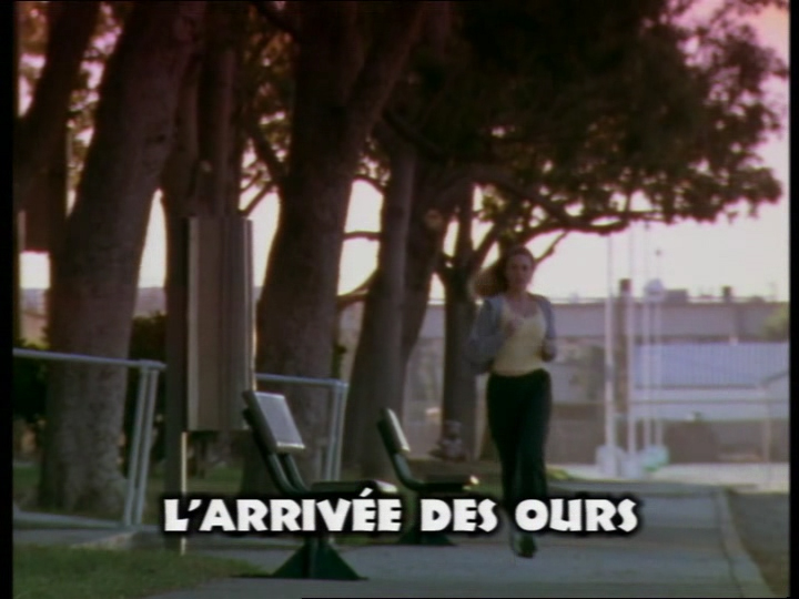 L'arrivée des ours