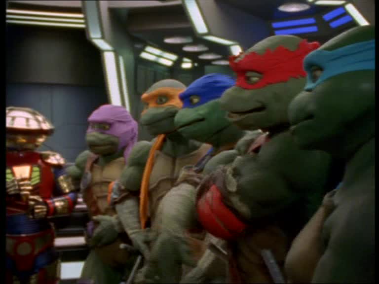 Des tortues dans l'espace