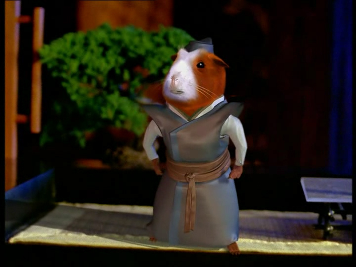 Transformé en hamster